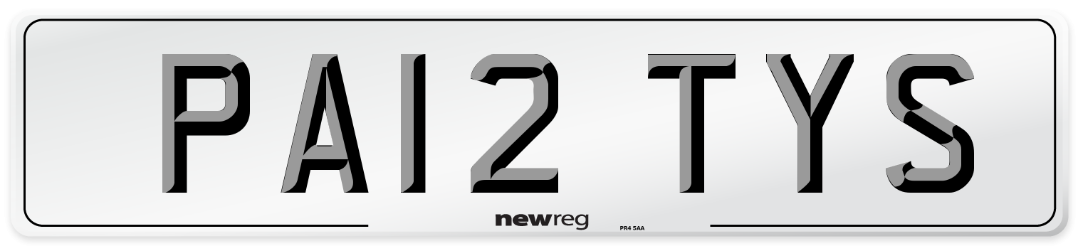 PA12 TYS Number Plate from New Reg